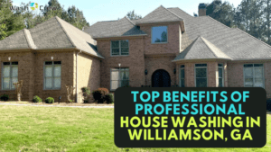 professional house washing in Williamson