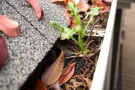 Atlanta gutter cleaning